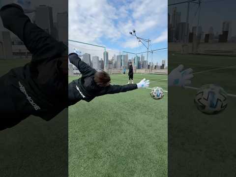 Goalkeeper reaction training