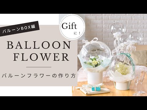 バルーンフラワー 植物