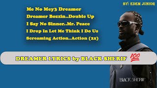 Download lagu Black Sherif - Dreamer ( LYRICS Video) mp3