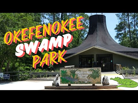 Exploring the Wild Beauty of Okefenokee Swamp Park