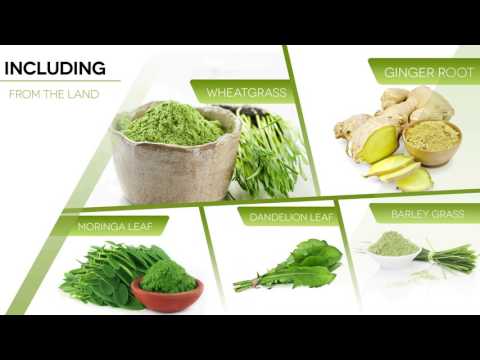 download lagu mp3 mp4 Trader Joes Dukkah Ingredients, download lagu Trader Joes Dukkah Ingredients gratis, unduh video klip Trader Joes Dukkah Ingredients