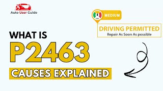 OBD Code p2463 Guide to Repair