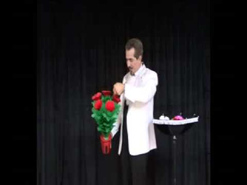 Tora Blossom Flower Vase Triple magic trick