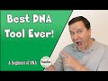 What Are the Odds on DNA Painter - The Best DNA Genealogy Tool Ever!?!  - A Segment of DNA