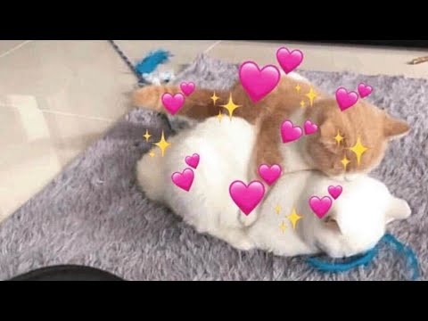 VYX BLV$ - CLO$E IN $ILENCE 💕