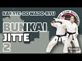 Bunkai Jitte 2 Karate Wado Ryu