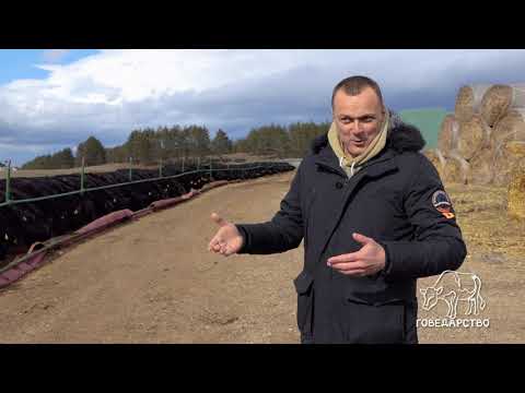 Govedarstvo ep. 2 27.03.2023. Angus rasa goveda, sistem krava-tele, Zlatar Grasslands