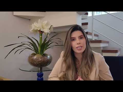 Vídeo de introdução