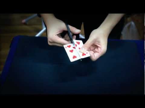 Bond Lee - Card? 1.6x Quick Trick