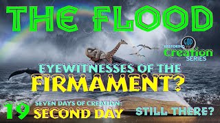 Restoring Creation: Part 19: The Flood: Eyewitness