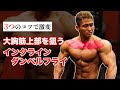 大胸筋の輪郭を発達させるインクラインダンベルフライの方法【胸トレ】