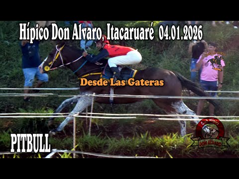 PITBULL - HIPICO DON ALVARO, ITACARUARE, MISIONES 04.01.2025