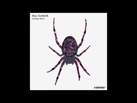 Max TenRoM - Sunday Mind (Original Mix) [A100R007]