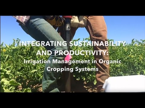 Integrating Sustainability and Productivity: Irrigation management in organic cropping systems