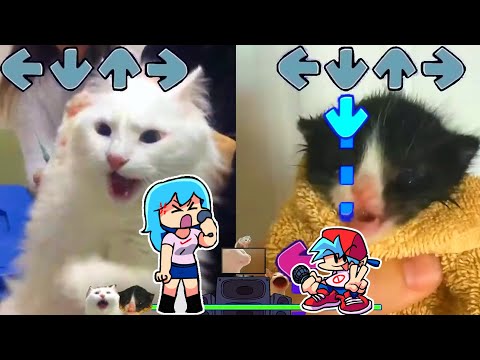 Sky BUT TURKISH CAT VS TOWEL KITTEN - Friday Night Funkin Animation VS Sky Mod