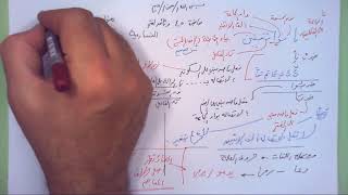 45 ➤   الضمير والفعل image