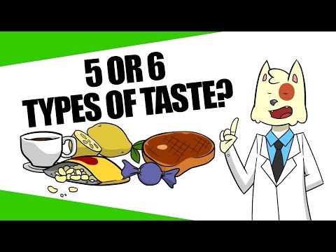 download lagu mp3 mp4 Different Types Of Taste, download lagu Different Types Of Taste gratis, unduh video klip Different Types Of Taste