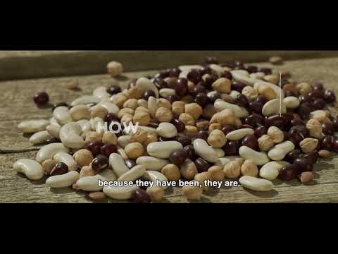 HOW TO LEGUME TEASER With Chef Marc Puig-Pey from Fundació Alícia (Bages)