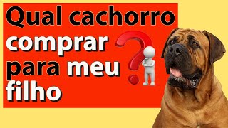 As 10 melhores raas de Cachorros para crianas - os ces mais dceis e carinhosos