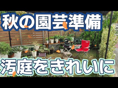 秋のアネモネの切り方:遅咲きの人にはこれが必要 トピックス
