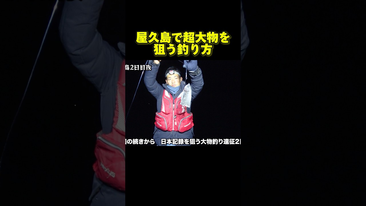 屋久島で超大物を狙う釣り方#釣り#fishing #屋久島