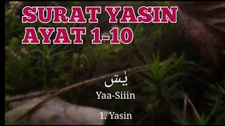 Download lagu Surat Yasin ayat 1-10 ( hafalan surat yasin 1-10) mp3 Download lagu Surat Yasin ayat 1-10 ( hafalan surat yasin 1-10) mp3