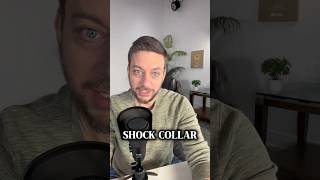 New developments in the shock collar scandal