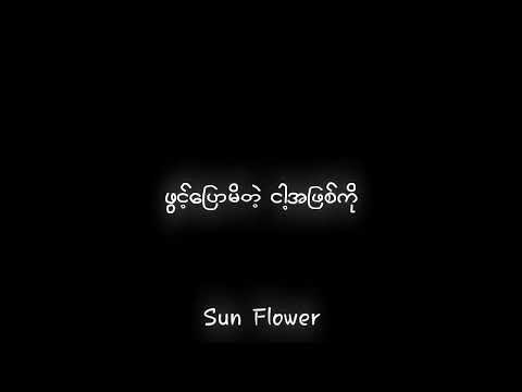 မချစ်ရဘူးတဲ့လား // ဝေလ