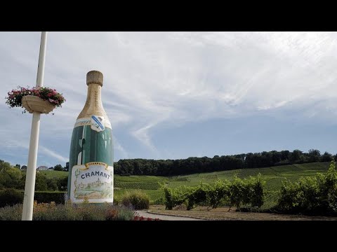 Frankreichs Winzer zittern vor Champagner-Panne