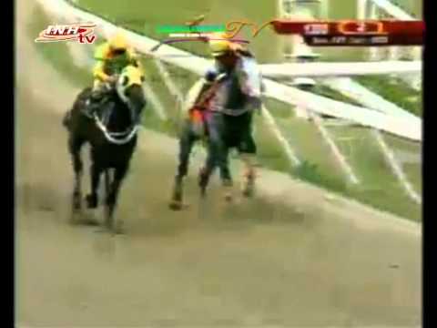 LA RINCONADA 2 CARRERA DOMINGO, 28 DE DICIEMBRE DEL 2014