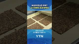 건강도 챙기고 맛도 챙기고! #shorts / YTN