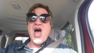 The Learning - Nevermore - Stoner Car Karaoke