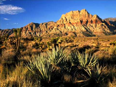 Gospodine ti si pastir moj