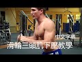 滑輪三頭肌下壓教學|深度講解示範|Tricep Pushdown Tutorial
