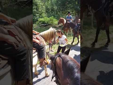 A CAVALLO FABBRICHE DI VALLICO GIUGNO 2021