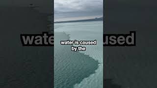 Seawater boundary for Hubbard Glacier #alaskacruise  #princesscruises