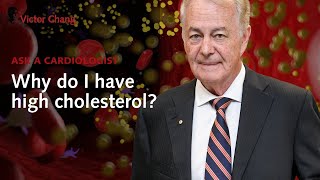 High cholesterol explained by a doctor | Victor Chang Cardiac Research Institute