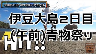 【東京都釣り】伊豆大島2日目午前。爆釣!!!