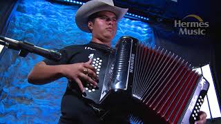 Video thumbnail for HOHNER PANTHER by Hermes Music