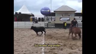 Download lagu Sela rasgada - águas das correnteza mp3
