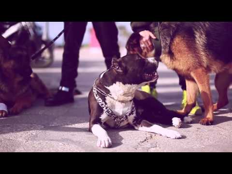 SAWJA - LTGB feat. L3arbé [Clip Officiel] Prod. Harroun Beats