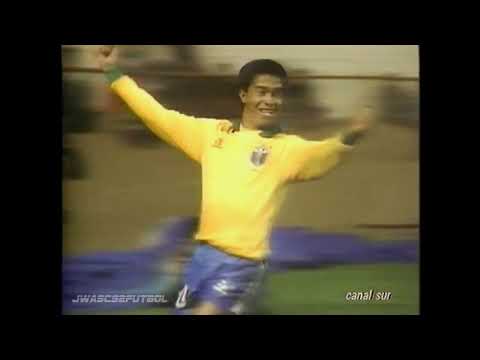 1991.07.15 Brasil 3 - Ecuador 1 (Partido Completo 60fps - Copa América Chile 1991)