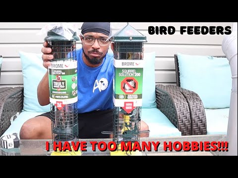 Lowes Bird Feed
