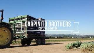 preview picture of video 'Meet the Carpinito Brothers - Puyallup, Washington'