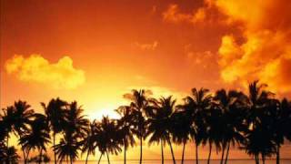 Disco kings - Born to be alive