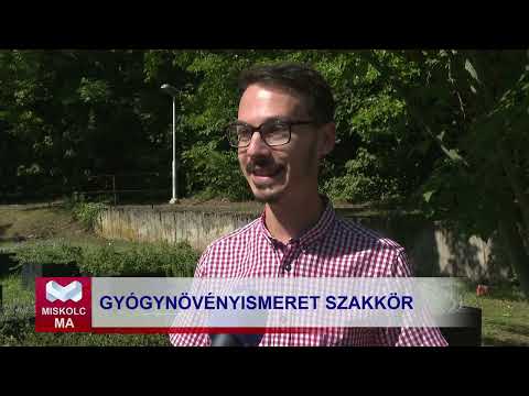 Videó előnézet