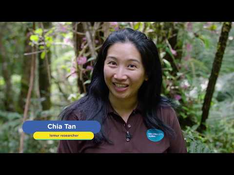 5 Interesting Indri Facts