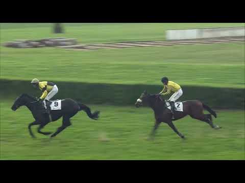 8. 5. 2022 - 7. dostih - Cena podporovaná společností PROVET