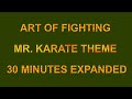 ART OF FIGHTING MR KARATE THEME 30 MINUTES EXPANDED