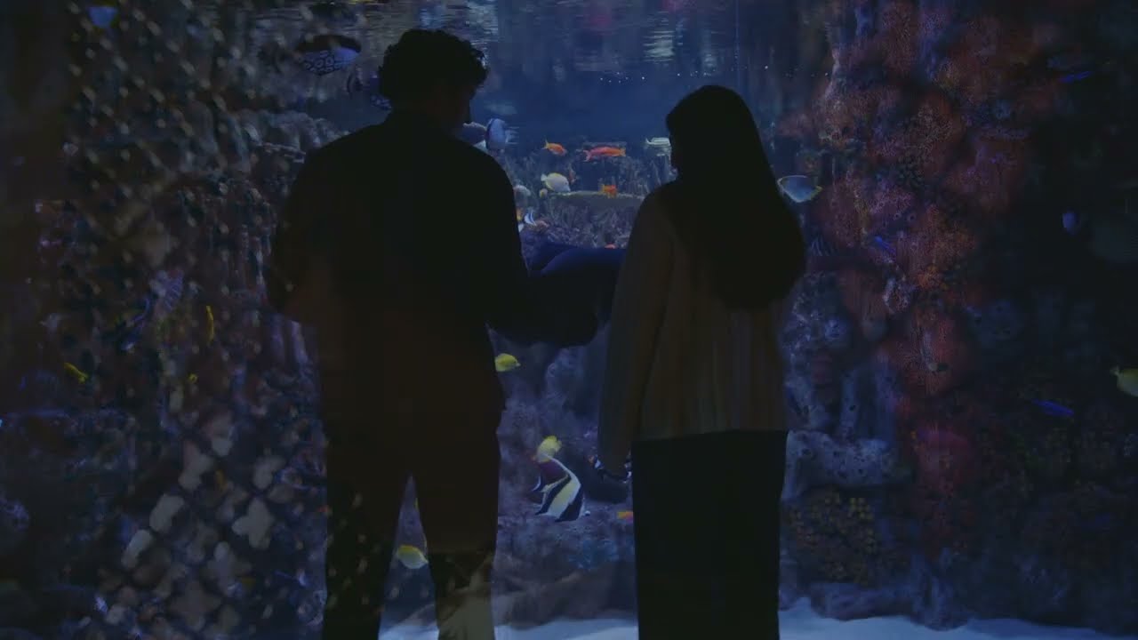 Altar Egos (2025) dir. Mayrav Estrin | Official Trailer